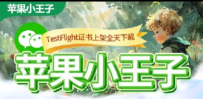 苹果TF小王子-凡尔赛-苹果微信分身-文字