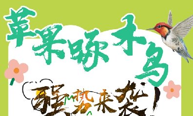 苹果啄木鸟-凡尔赛8060-定时发圈-苹果微信