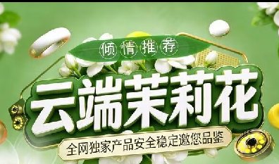 茉莉花云端-自动发朋友圈-微信一键转发